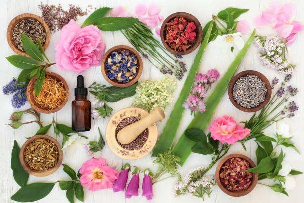 organic herbal products